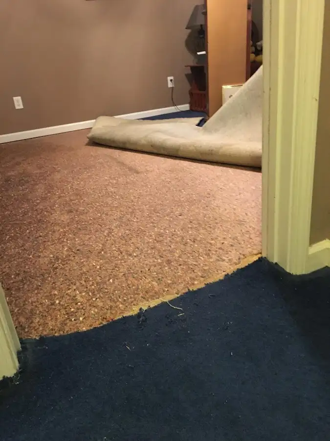 Carpet pad removal revealing water damage during Drying & Dehumidification in Woodbridge