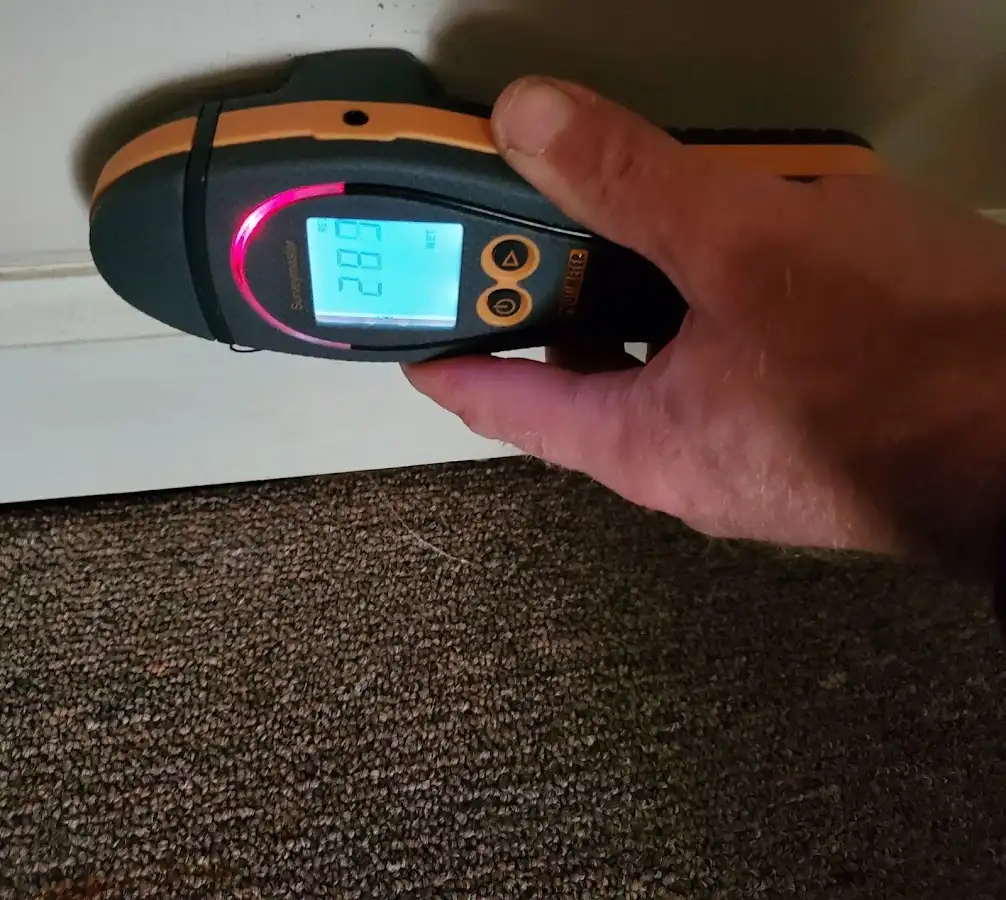 Moisture detection at baseboard during Burst Pipe Cleanup in Woodbridge